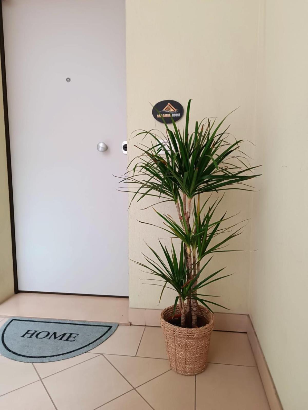 شقة San Carlo House Castel Guelfo Di Bologna المظهر الخارجي الصورة